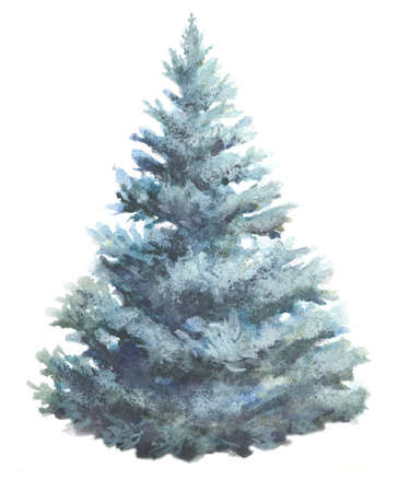 spruce tree watercolor illustration on white. fir-tree hand paint water colorの写真素材