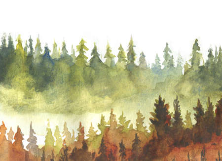 spruce trees autumn background watercolor paintingの写真素材
