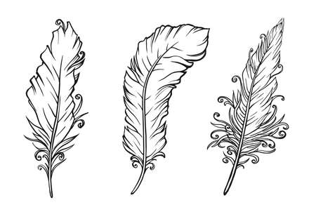 Set of feathers drawing on white. Vector illustrationのイラスト素材