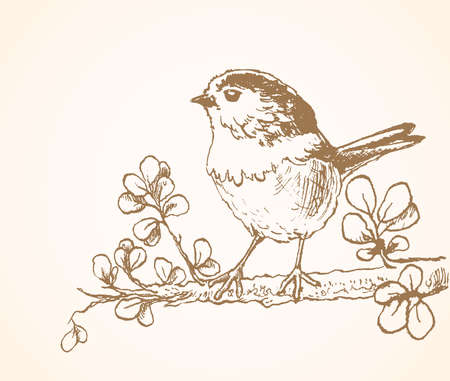 Little bird sitting on twig hand drawn sketch vector illustrationのイラスト素材