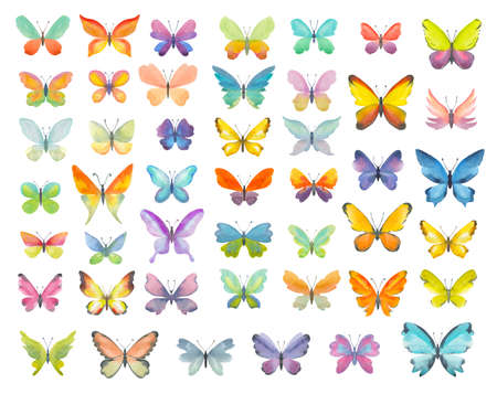 Set of watercolor butterflies. Hand drawn illustration of colorful butterflies isolated on white backgroundの写真素材