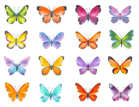 Set of watercolor butterflies. Hand drawn illustration of colorful butterflies isolated on white backgroundの写真素材