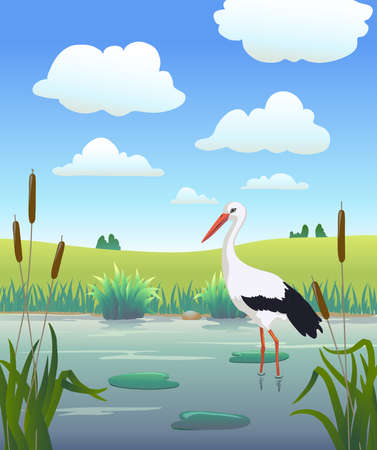 Cartoon stork on lake with reeds, with blue sky with clohds landscape. vector illustrationのイラスト素材