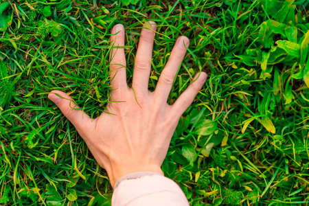 grass, handの写真素材