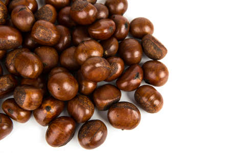 Chestnut on white backgroundの写真素材