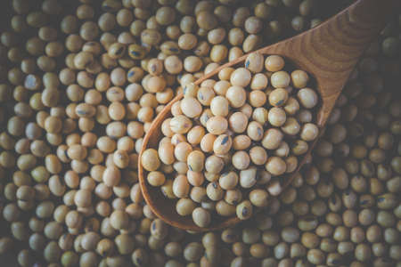 Soy Beans close up