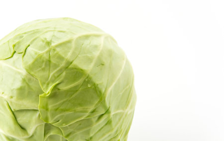 Fresh cabbage