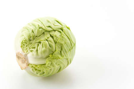 Fresh cabbageの写真素材