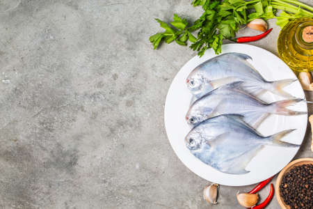 Fresh butterfishの写真素材