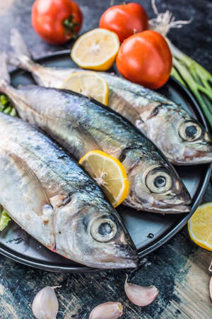 Seafood, fishの写真素材