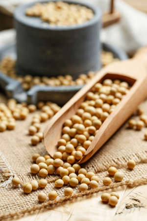 Soybeans in wooden scoop and a little stone millの写真素材