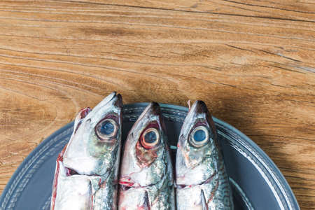 Fresh fish Mackerelの写真素材