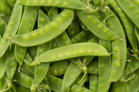 green bean