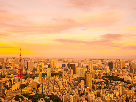 Beautiful Aerial view of architecture and tokyo tower building around city at sunset time in japanの写真素材