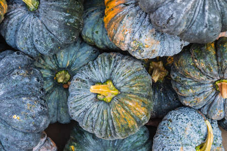 .A pile of raw pumpkins that are stacked