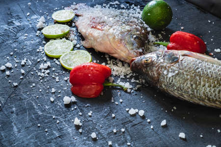 Fresh fish of tilapia with salt and seasoning for cooking.の写真素材