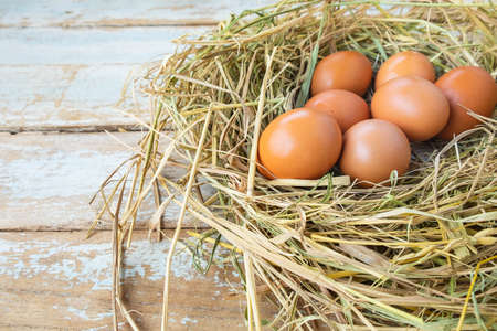 Fresh raw eggs from the farm