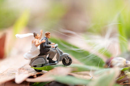 Miniature people : Couple riding the motorcycle in the gardenの写真素材