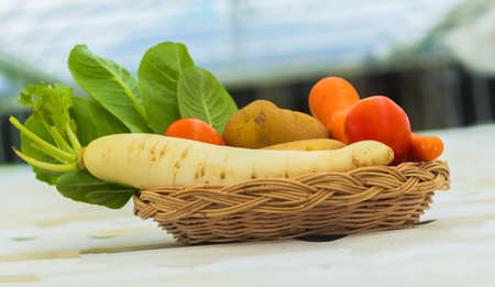 Basket of fresh vegetables and organic vegetables from the farm Cultivation of vegetables and...