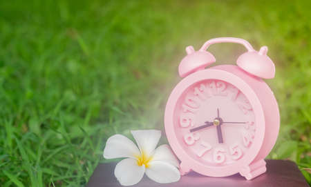 pink clock on the lawn. For the backgroundの写真素材