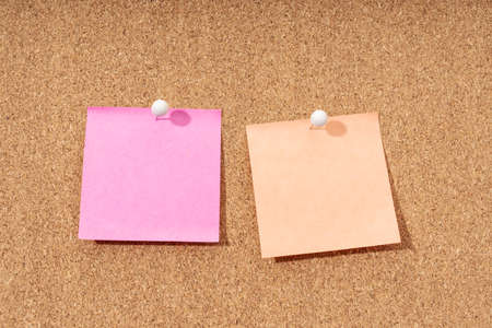 Two Blank note on a cork board for adding text and push pin. Mock up