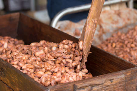 Fermented and fresh cocoa-beans lying in the wooden box