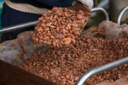 Fermented and fresh cocoa-beans lying in the wooden box