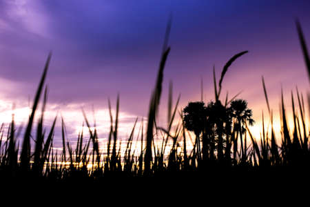 Colorful dramatic sky with cloud at sunset.Sky with sun background