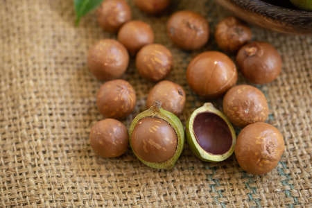 Macadamia nuts on sacks in natural light
