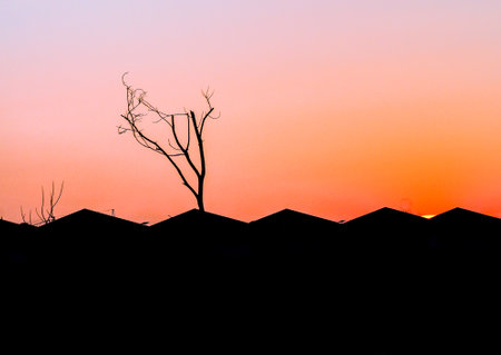 city urban houses silhouette at sunset orange skyの写真素材
