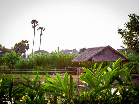 Old lifestyle cottages in Asian countryside In green fields clear sky, lake and nature travel destinations in Asia on holiday concept idea background