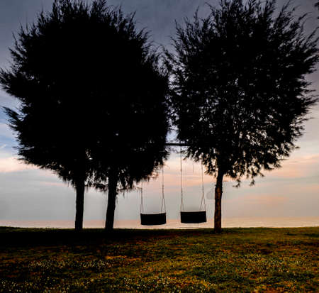 wood swing under the big tree beside sea beach nature background. beautiful sky in happy holiday...