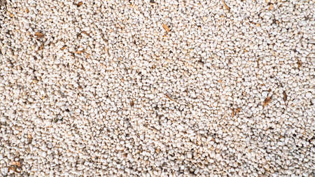 Rocks Pebbles Stone.Pebbles, rocks, and stones as natural decoration in the garden . zen concept ideaの写真素材