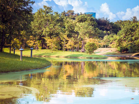 Background of city park in spring with trees, bushes and bench.island and the lake