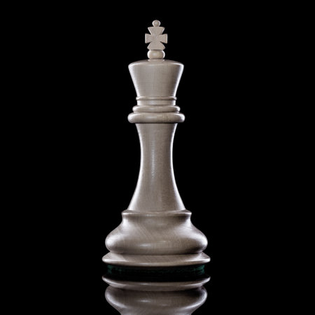 Black and White King of chess setup on dark background. Leader and teamwork concept for success. Chess concept save the King and save the strategy.の写真素材