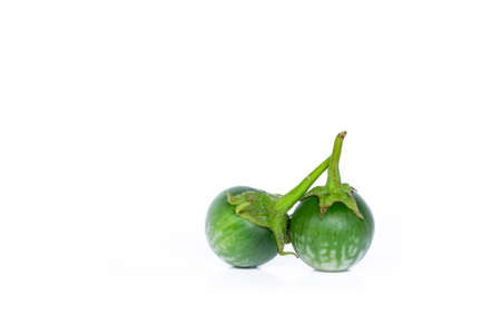 Eggplant thai isolated on white background. Studio shot.の写真素材