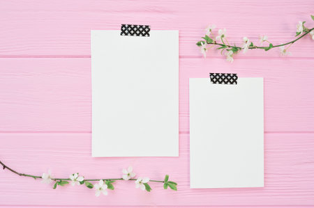 Two branches of white cherry flowers on pink wooden background with two sheet of mockup papers with...