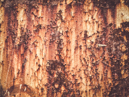 Rust Metal Decayed Crumpled Sheet Wide Background. Weathered Iron Rusty Isolated Metallic Texture....