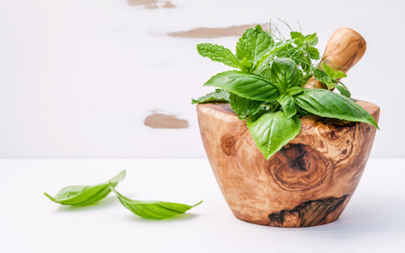 Alternative medicine fresh herbs in the wooden mortar . Food ingredients and seasoning basil, peppermint , dill and green mint in a wooden mortar set up on white wooden background with copy space..の写真素材