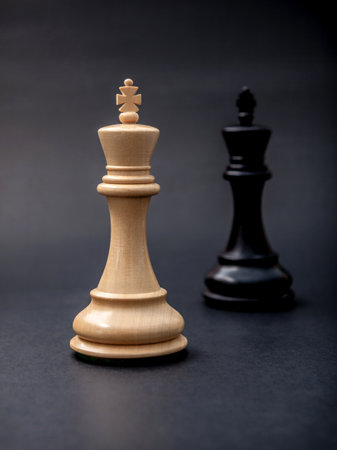 Black and white king of chess set up on dark background .の写真素材