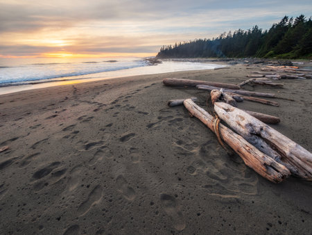 Sunset along the West Coast Trail on Vancouver Island in British Columbia, Canada.の写真素材