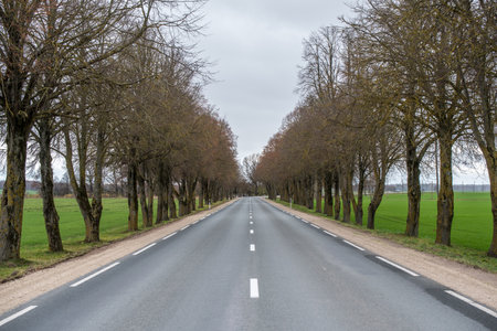 Asphalt wavy road in autumn misty countryside landscape in Latviaの写真素材
