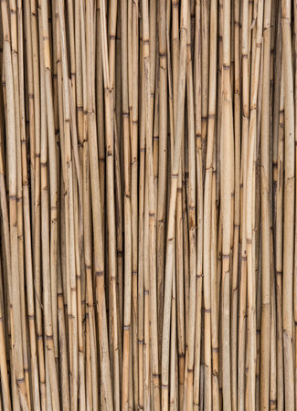Old dry straw background, bamboo wall texture. Eco natural background conceptの写真素材