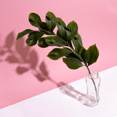 Leaf branch in vase on tableの写真素材