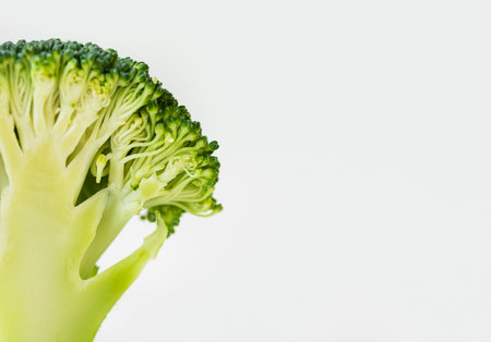 Nutritious food texture composition close upの写真素材