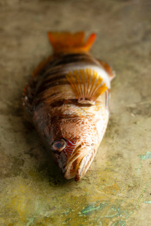 Raw fish on table high angle