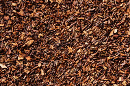 Nutritious food texture composition close upの写真素材