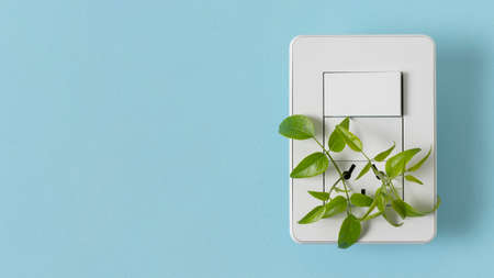 Still life sustainable lifestyle elements arrangement