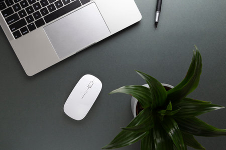 The minimalistic home working desk design