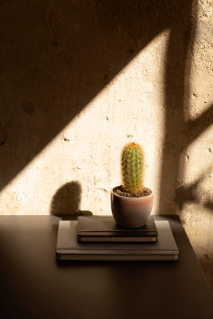 The minimalistic home working desk designの写真素材